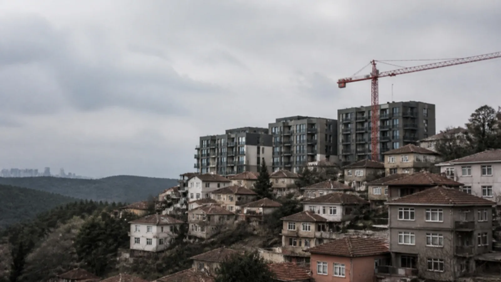 Orman kenarındaki bir mahallede eski az katlı evler ve yeni konut bloğu